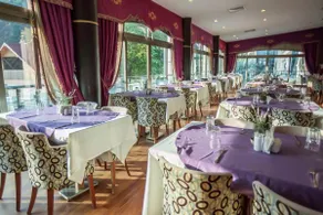 Sarot Termal Park Resort & Spa - Halal Hotel - Image 5