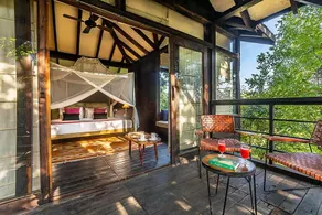 Pench Tree Lodge - Image 3