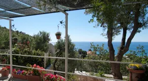 Tra Gli Ulivi - Image 4