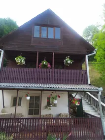 Cabana în poienile munților - Image 2