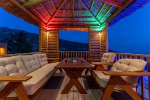 Premium Villa - Image 3
