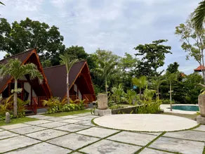 Dalung Tropical - Image 5