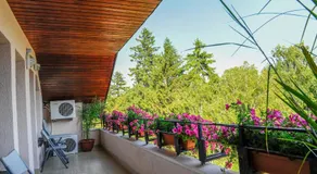 Villa Alice - Image 5