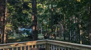 Hinckleys Dreamwood Cottages - Image 4