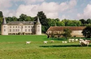 Château de Beaujeu - Image 4