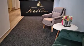 Hotel Bor - Image 5