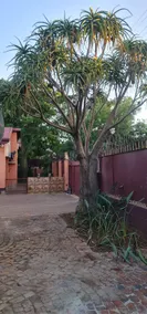 My House Guest House - Image 5