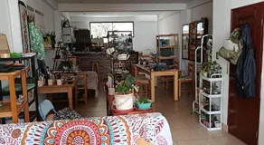 La Salvaje Bazar Mágico - Image 3