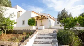 Monte das Oliveiras - Casas de Campo - Image 5