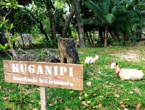 Kuganipi Beachside Inn Iriomote - Image 5
