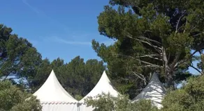L' Aglandau Au coeur des oliviers en Provence - Image 4