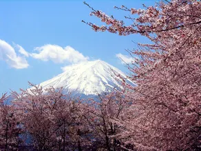 Private House Sora / Vacation STAY 1123 - Image 5