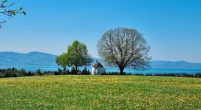 Ferienwohnung Aussichtsreich - großzügig mit Terrasse und Aussenkamin - Image 1