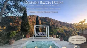 Domaine Baccia Donna - Jacuzzi, Climatisation, Parking privé - Nice Monaco - Image 5