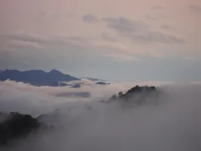 Alishan Tea Garden B&B - Image 5