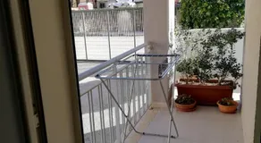 Passione mare - Image 5
