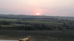 ReWild Ranch LLC - Image 4