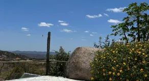 Paradise Camp - Image 3