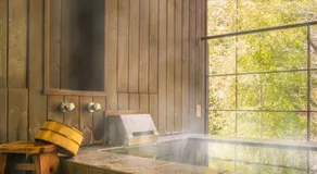 Ferienwohnung Mit Garten Im Schonen Tannheim - Image 3