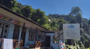 The Blue House - Image 5