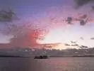 Tamaikan - Image 3