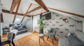 Innsbruck City Chalet - Image 4