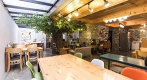 Twin Rabbit Guesthouse - Image 2
