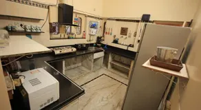 Sycamore Court- 2BHK Aravalli Heritage Villa - Image 5