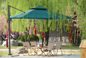 Zhao Gong's hometown - Image 5