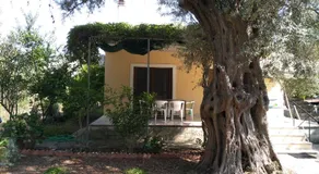 Lefkas house with garden - Image 4