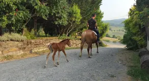 Agriturismo Corte del Gallo - Image 3