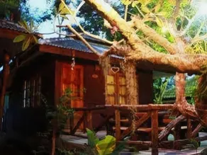 Jungle Bay Resort - Image 5