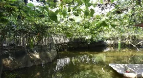 Immersive Homestay NinhBinh  - Image 5
