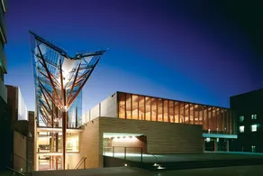 Close to Light Rail UNSW Centennial Park Beach Free Parking - Image 3