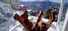Paras homestay - Image 5