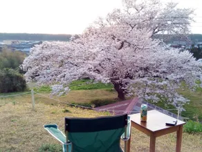 Sea-view Cottage & Camp - Image 3