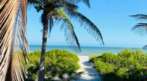 Frequency Beachfront Domes El Cuyo - Image 4