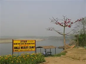 Jungle Wildlife Camp - Image 3