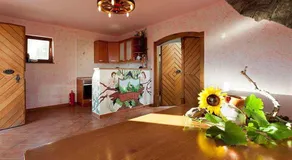 Holiday Home In Otocec Kranjska Krain 26062 - Image 2