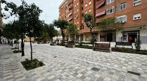 Rodrigues 15 - Image 5