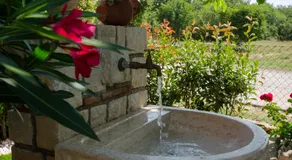 Villa Roza - Image 5