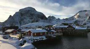 Lofoten Fishing - Image 2