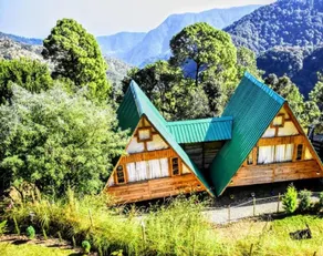 Chirpingi Birdz Resort - Image 3