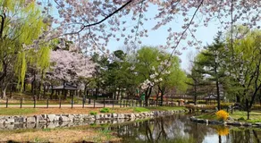 Seoul Core Stay - Family-Friendly 3BR Home in Central Seoul near Museums ㅣ Han River ㅣ Itaewon - Image 5
