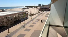 Complex Aristrocratos - Image 5