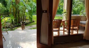 Mango Tree Inn - Image 5