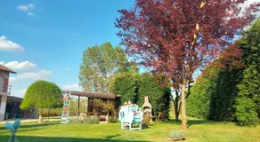 Casale del Miglio - Image 3