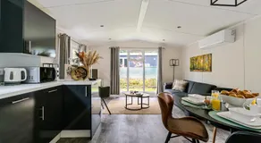 Het Veluwse Boshuisje Hond welkom in Hoenderloo - Image 3