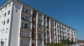 SMILJANA - Image 4