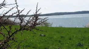 Tisvildehegn BandB - Image 5
